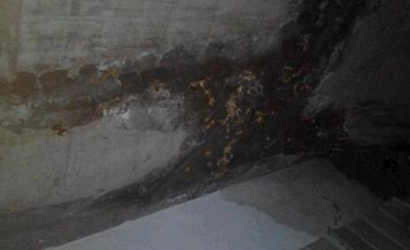 墻面滲水有什么辦法修復(fù)？屋頂防水施工的時(shí)候這些要留意