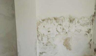 金屬屋面檐口滲水應(yīng)該怎么解決?家用防水涂料這幾點(diǎn)一定要注意