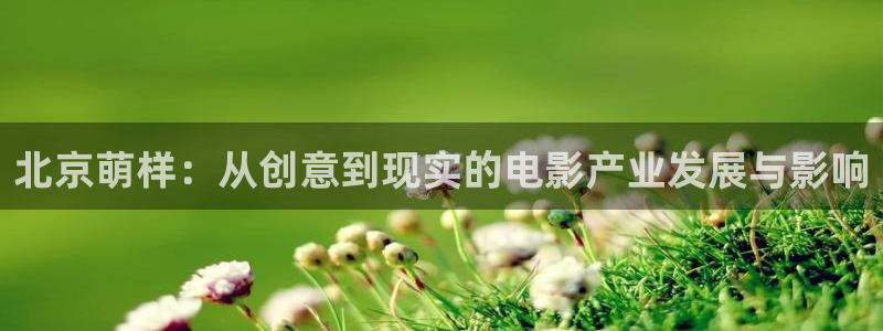 好看影院在線觀看電影：北京萌樣：從創意到現實的電影產業發展與影響