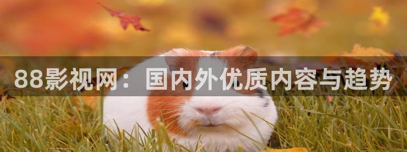 好看影院在線觀看電影：88影視網(wǎng)：國內外優(yōu)質內容與趨勢