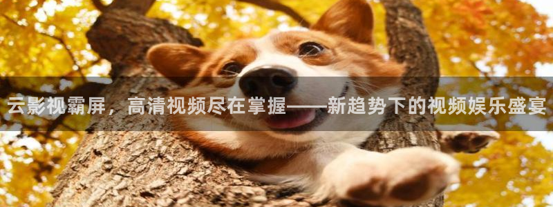 好看影院：云影視霸屏，高清視頻盡在掌握——新趨勢下的視頻娛樂盛宴