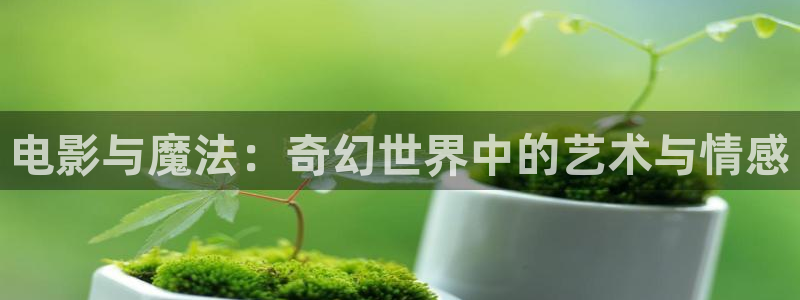 好好看影院：電影與魔法：奇幻世界中的藝術(shù)與情感